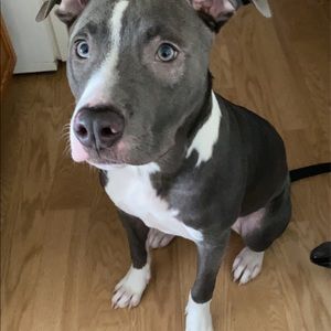 Meet your Posher, Alison